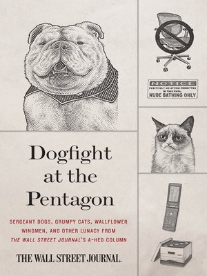 cover image of Dogfight at the Pentagon
